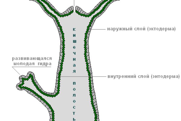 Кракен не работает тор