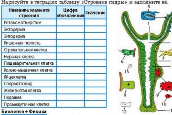 Как войти в кракен