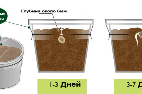 Как вывести деньги с кракена маркетплейс