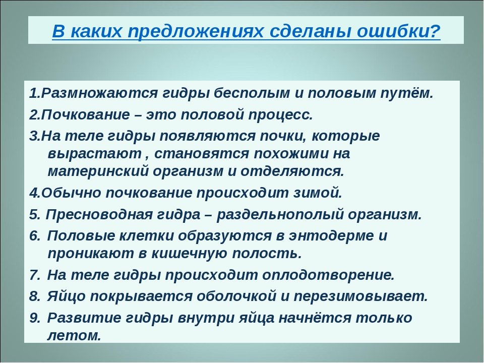 Кракен картель